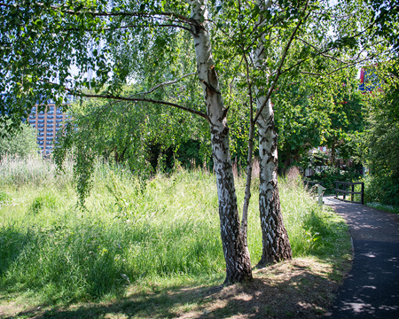 Bow Creek Ecology Park