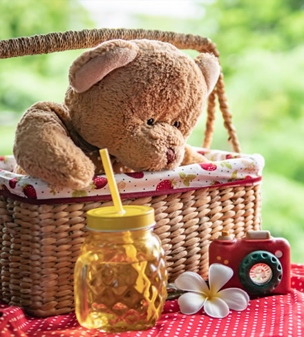 Teddy Bear’s Picnic and Music Workshop with Docklands Village Nursery